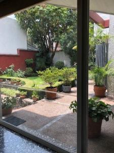 Casa en Venta o Renta en  Coyoacan, 502 mt2, 3 recamaras