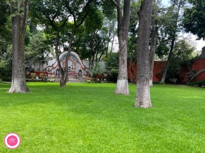 Casa Venta, Árbol, San Angel, 1011 mt2, 6 recamaras