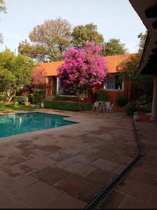 Casa de un solo nivel a la venta en Jacarandas Cuernavaca , 300 mt2, 4 recamaras