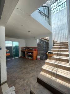 Tepotzotlán | Santiago Cuautlalpan: Magnífico terreno productivo con vivienda., 230 mt2, 4 recamaras