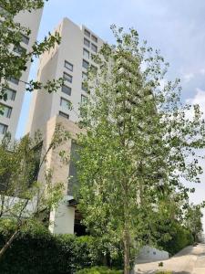 Departamento del Bosque Luxury Condos, 326 mt2, 3 recamaras