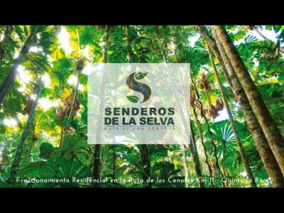 Nuevo Proyecto Oportunidad Senderos de la Selva, 1000 mt2, 1 recamaras