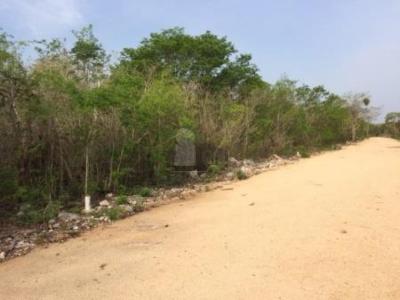 Terrenos en venta Komchen, Mérida, Yucatán