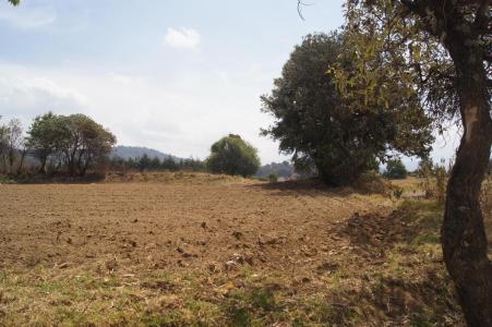 Carretera Toluca Zona Encinos Terreno Desarrolladores