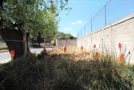 Terreno en Venta  - Zona Jajalpa