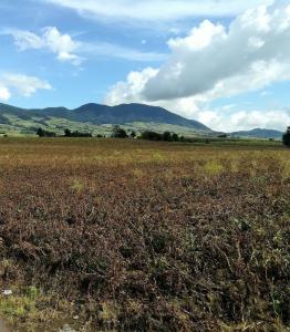 TERRENO EN VENTA SAN NICOLAS COATEPEC