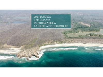 Playa Brinca Perros / 900 Hectareas / Frente de playa y laguna