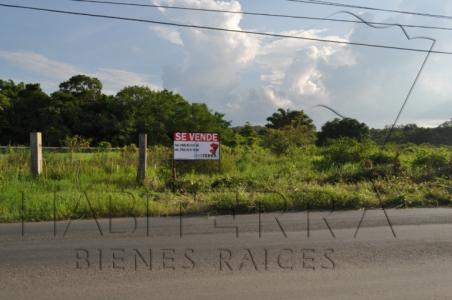 Terreno en venta sobre la Carretera a Cobos, Tuxpan Veracruz.