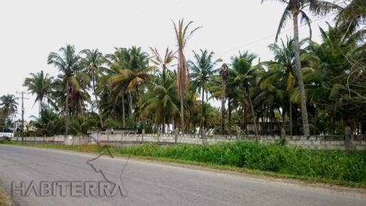 Terreno en venta con frente de Playa, Tuxpan Veracruz., 1500 mt2