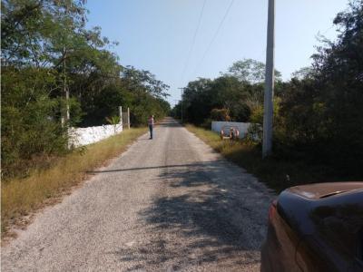 Terreno En Venta a 15min de Mérida en Mocochá Yucatán., 12000 mt2