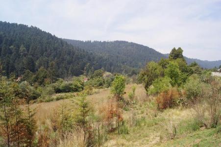 Cañada de Alferez Terreno en para Desarrollo Habitacional.