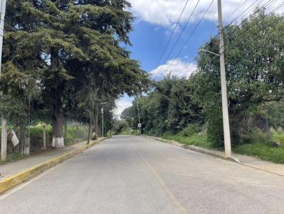 Carretera Toluca Zona Encinos Terreno Desarrolladores